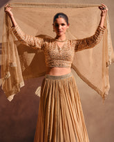 Exclusive designer pure chinon lehenga with detailed embroidery and latest design